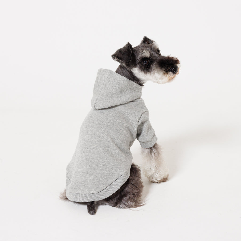 【NEW】PET HALF SLEEVE FRENCH TERRY PARKA HEATHER GRAY