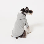 【NEW】PET HALF SLEEVE FRENCH TERRY PARKA HEATHER GRAY