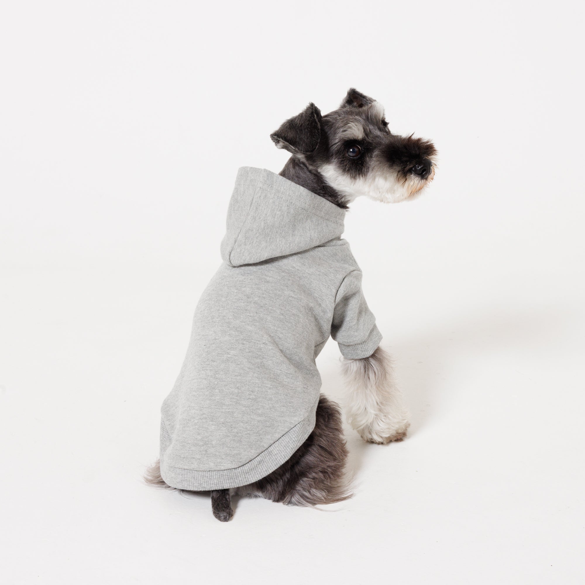 【NEW】PET HALF SLEEVE FRENCH TERRY PARKA HEATHER GRAY