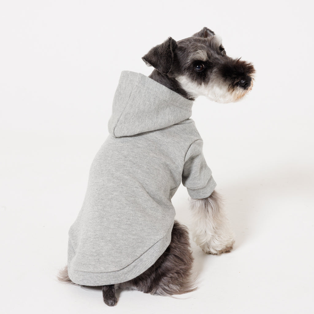 【NEW】PET HALF SLEEVE FRENCH TERRY PARKA HEATHER GRAY