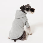 【NEW】PET HALF SLEEVE FRENCH TERRY PARKA HEATHER GRAY