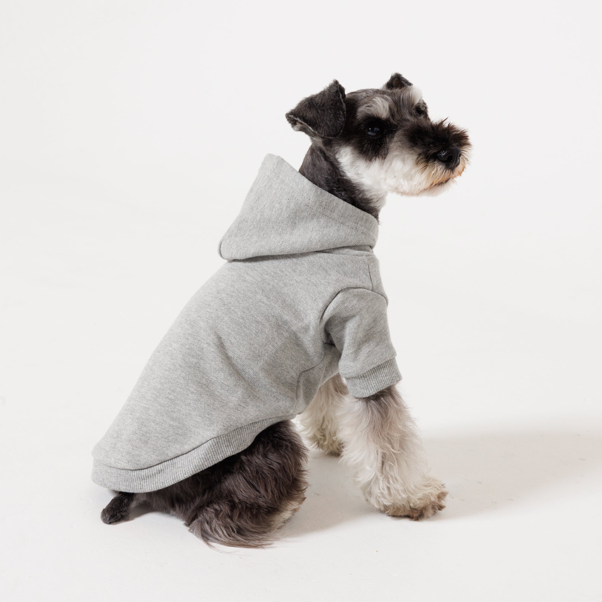 【NEW】PET HALF SLEEVE FRENCH TERRY PARKA HEATHER GRAY