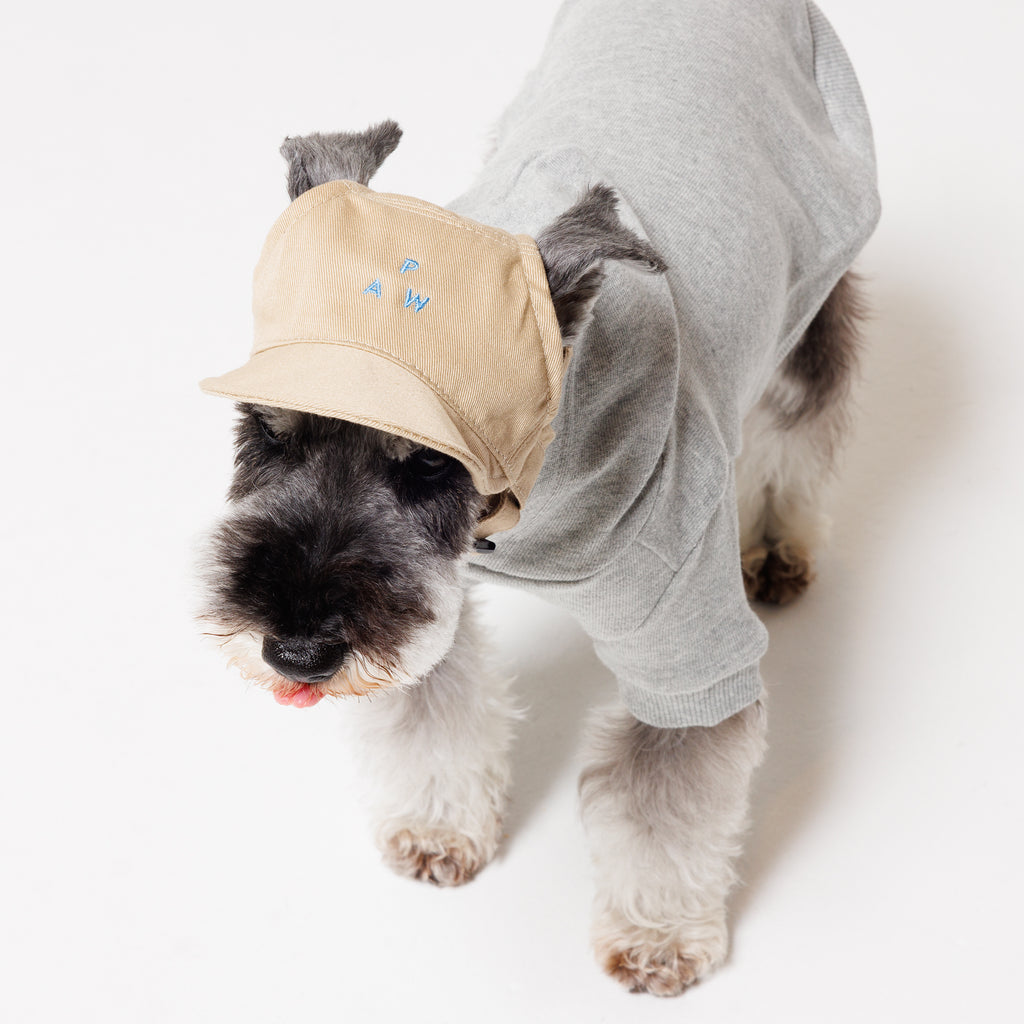PAW TRIANGLE LOGO BEIGE