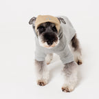 PAW TRIANGLE LOGO BEIGE