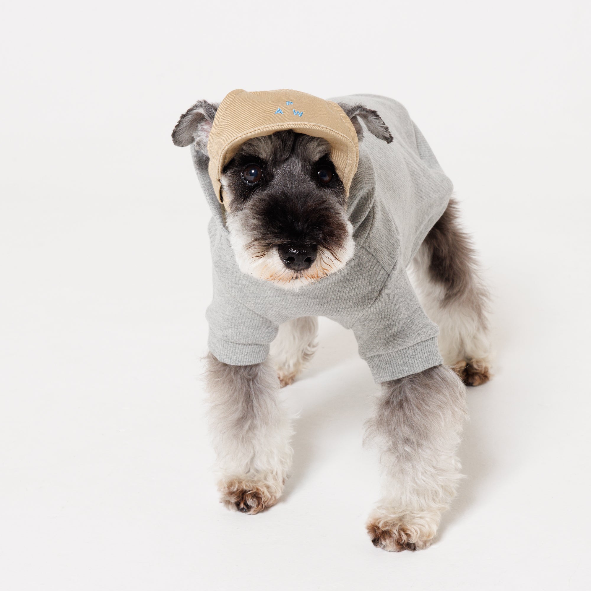 PAW TRIANGLE LOGO BEIGE