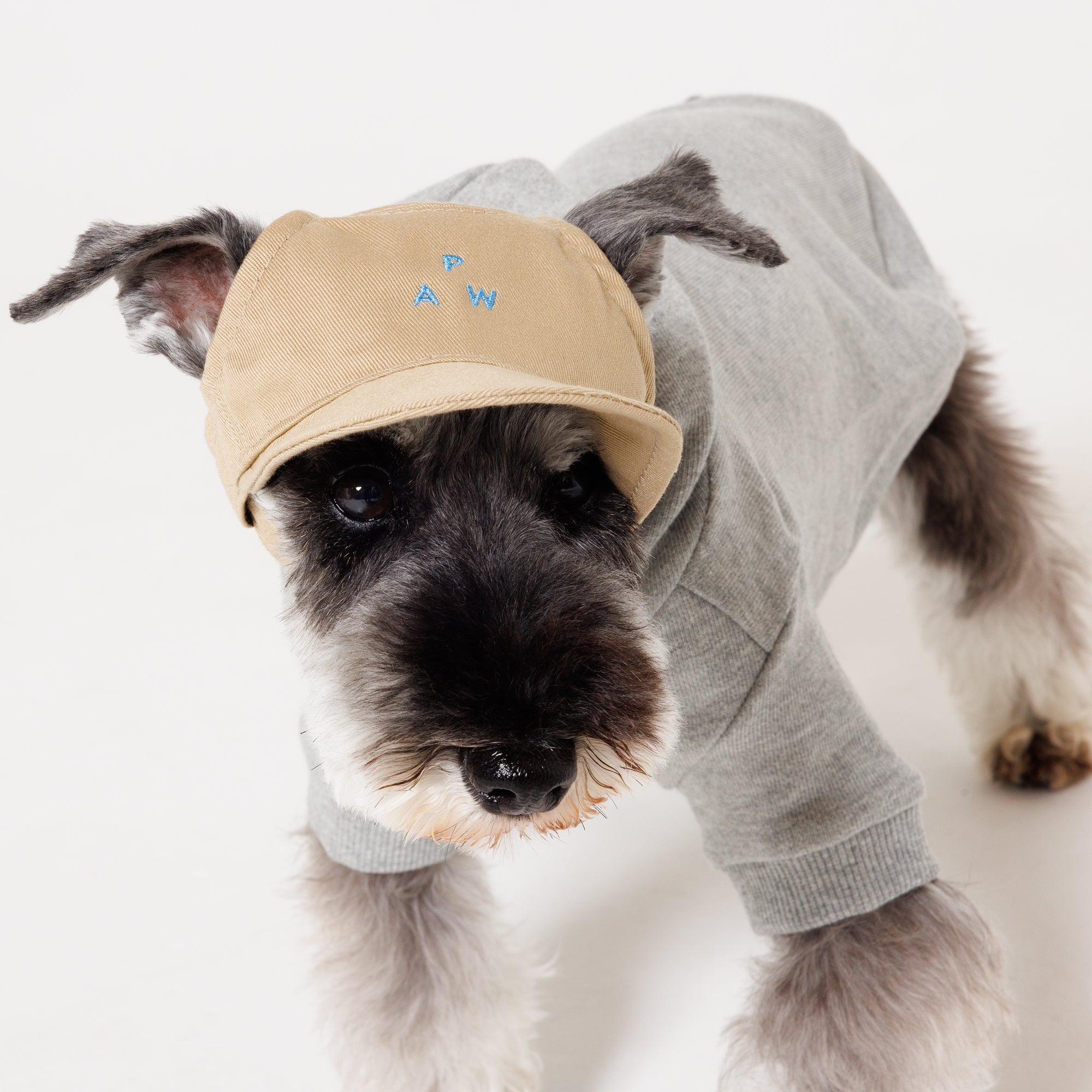 PAW TRIANGLE LOGO BEIGE