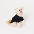 PET APPAREL WEAR LOGO A CAP