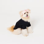 PET APPAREL WEAR LOGO A CAP