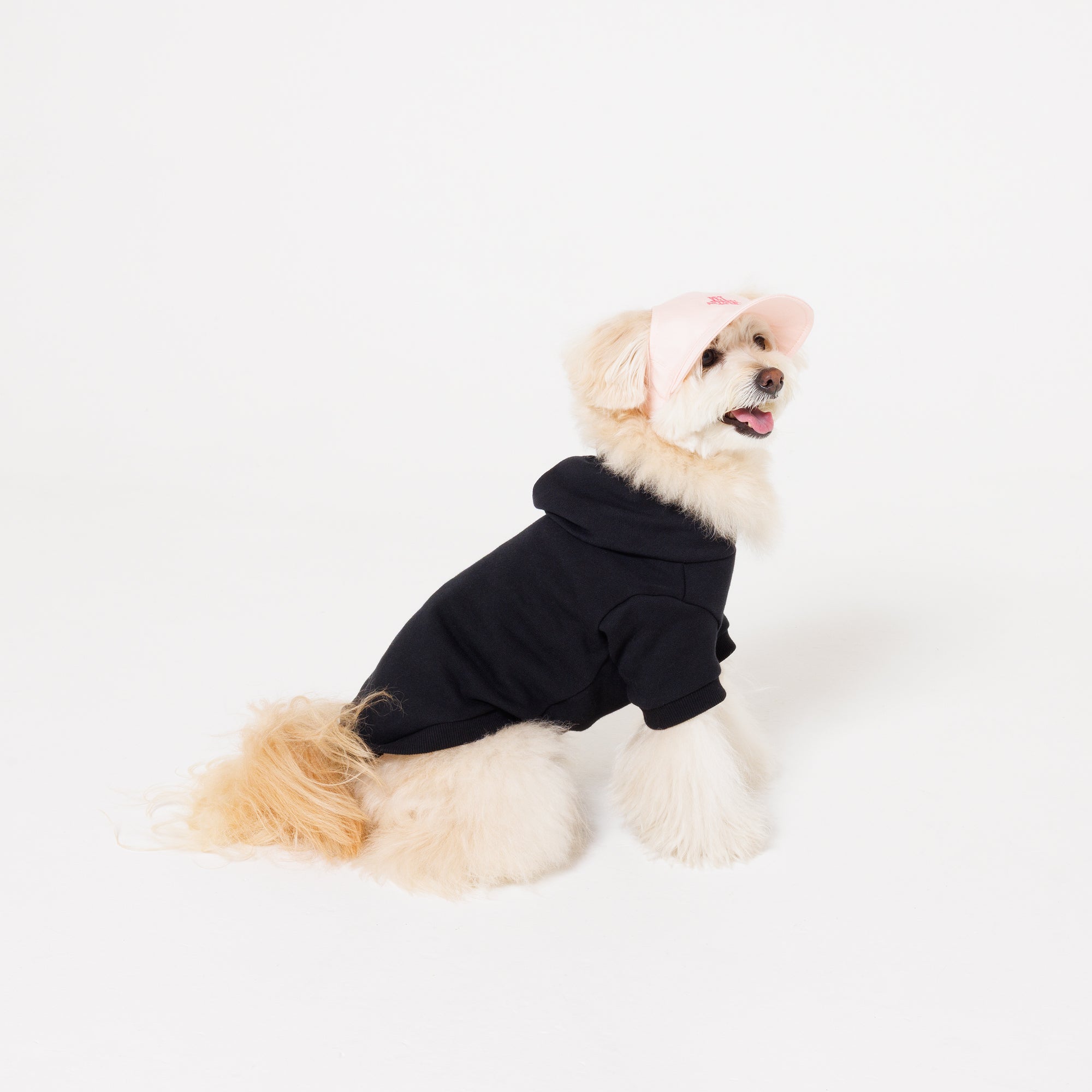 PET APPAREL WEAR LOGO A CAP