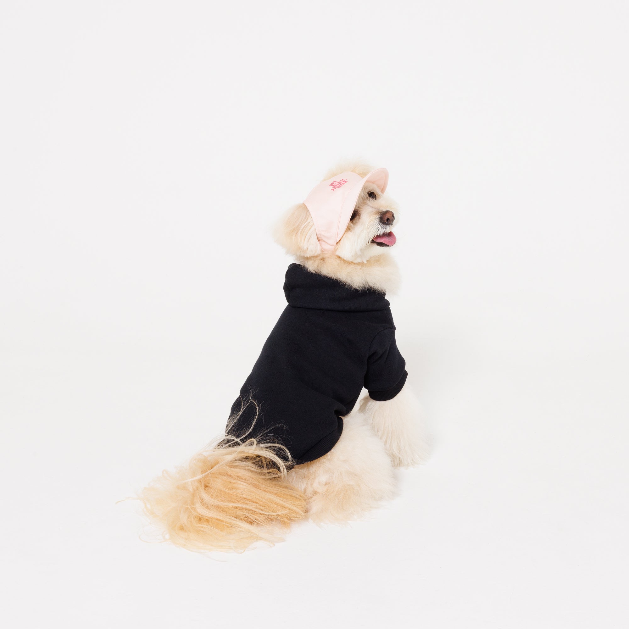 PET APPAREL WEAR LOGO A CAP