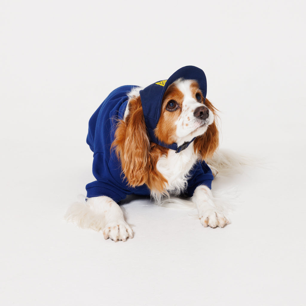 PAW PAW PAW LOGO CAP