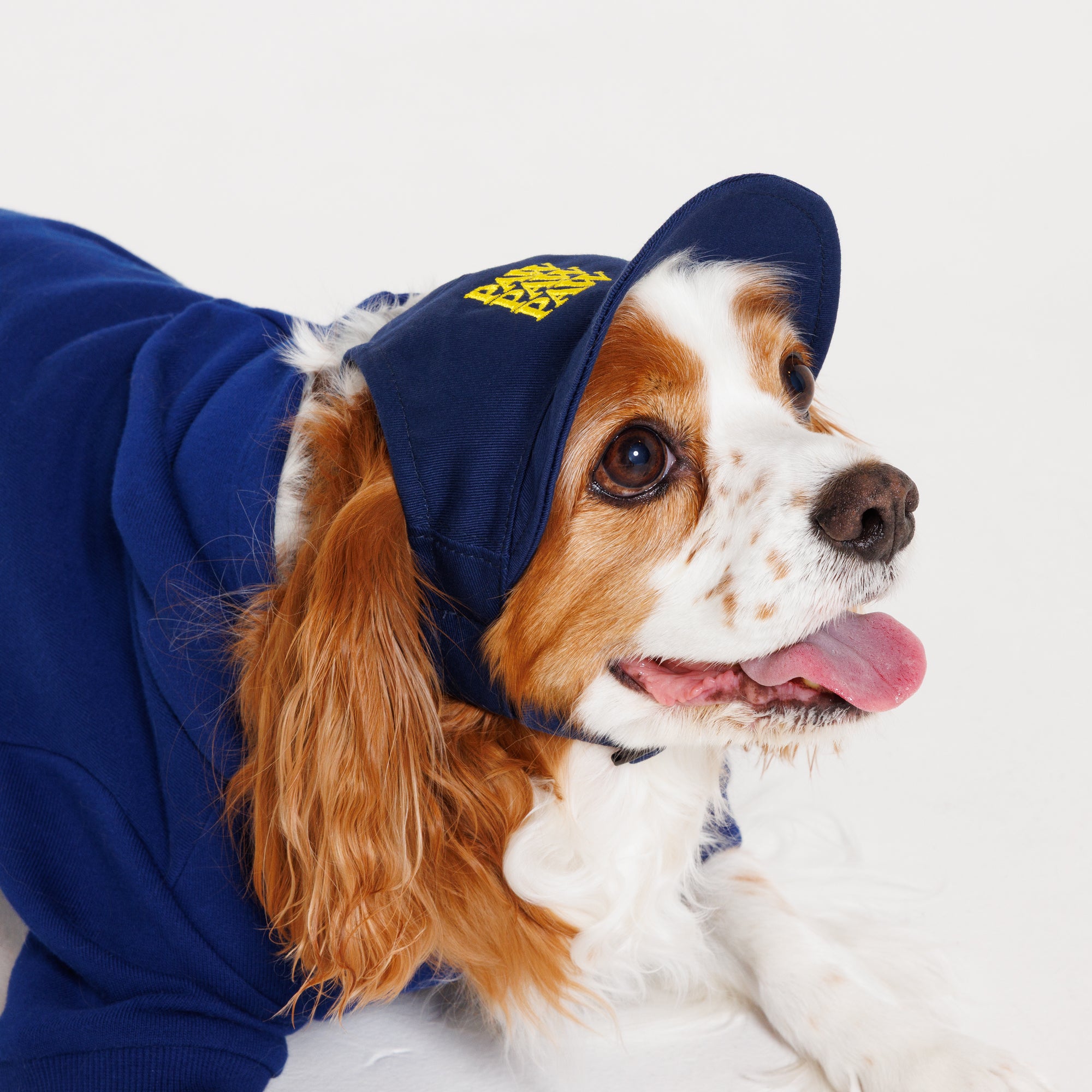PAW PAW PAW LOGO CAP