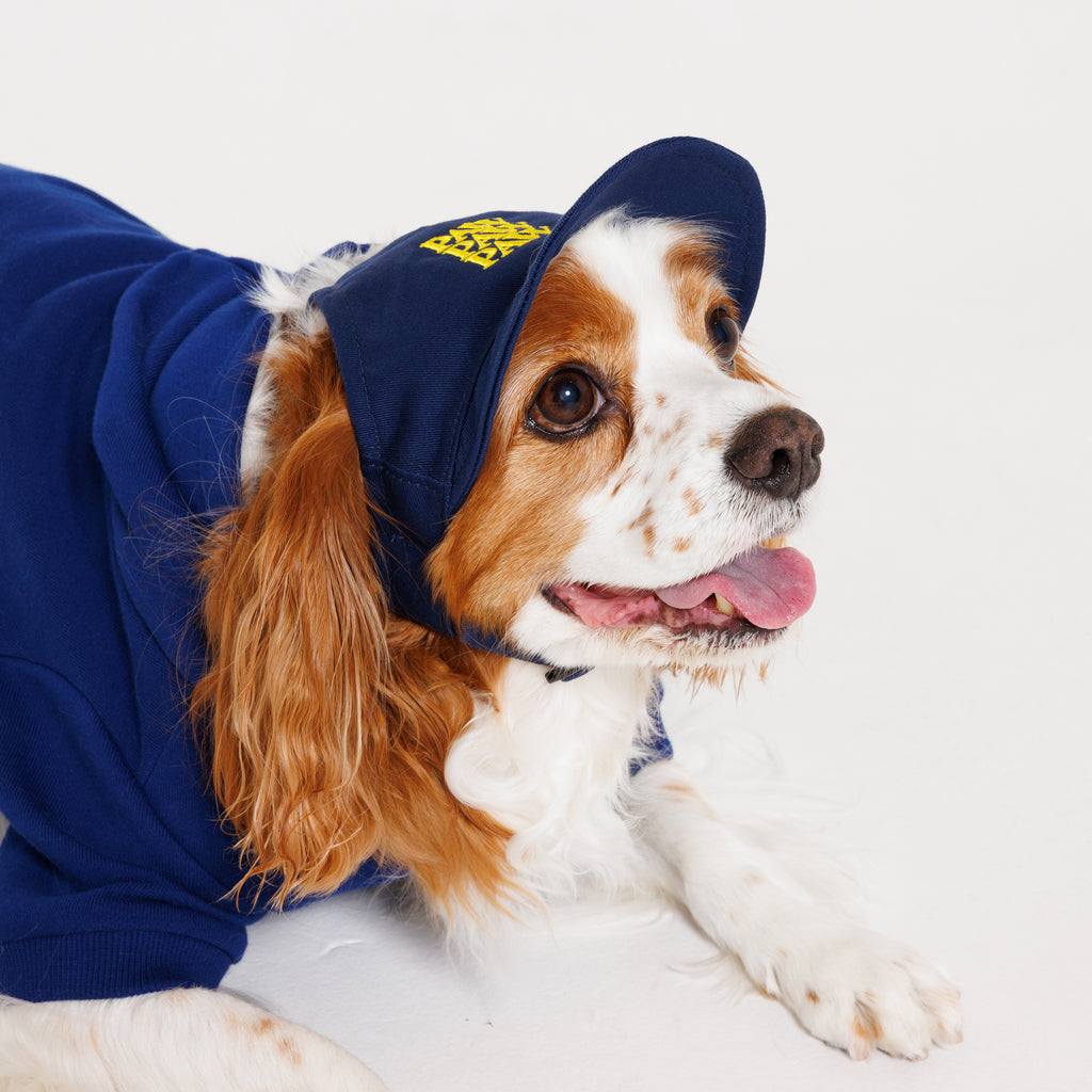 【NEW】PET HALF SLEEVE FRENCH TERRY PARKA HEATHER BLUE