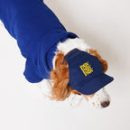 PAW PAW PAW LOGO CAP