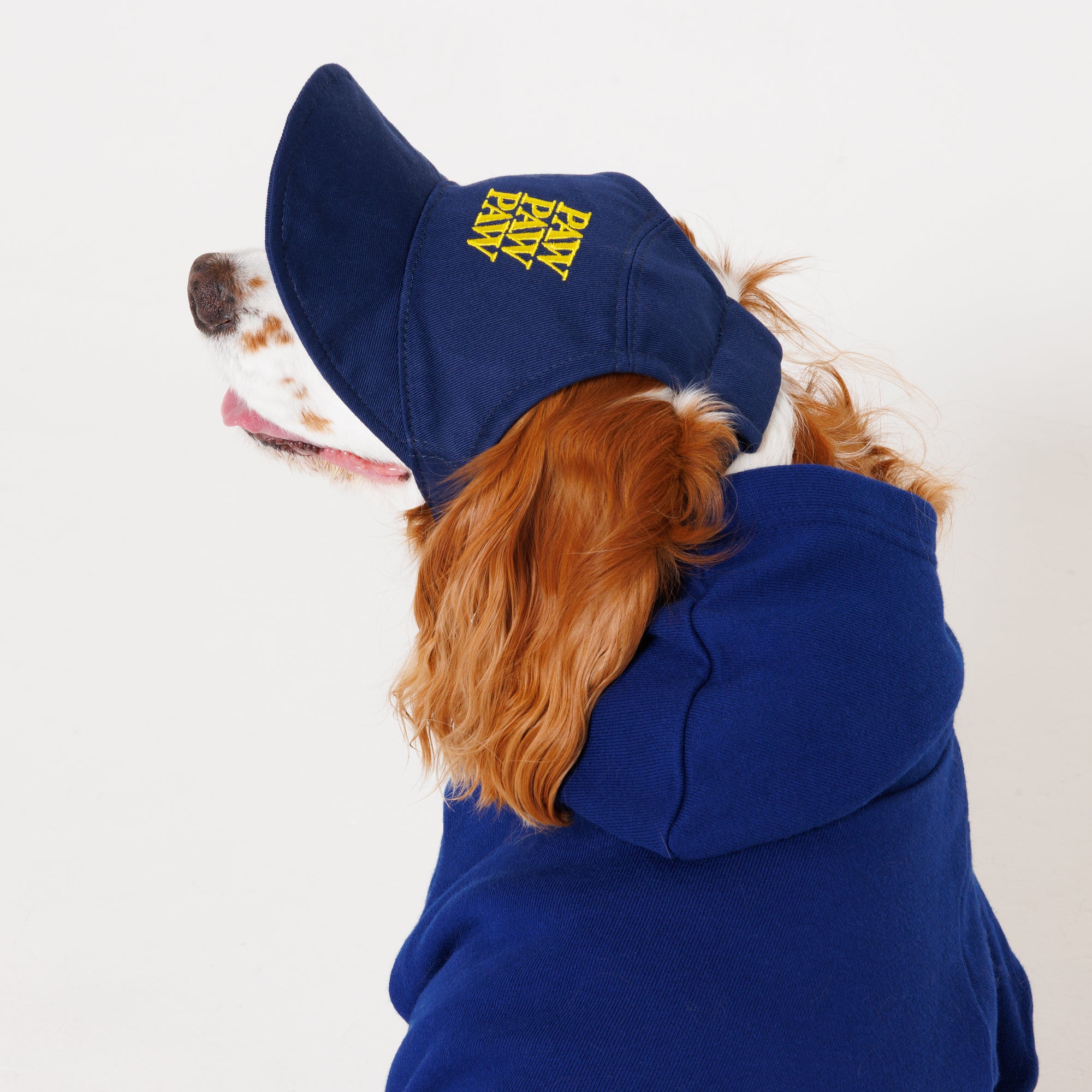 PAW PAW PAW LOGO CAP