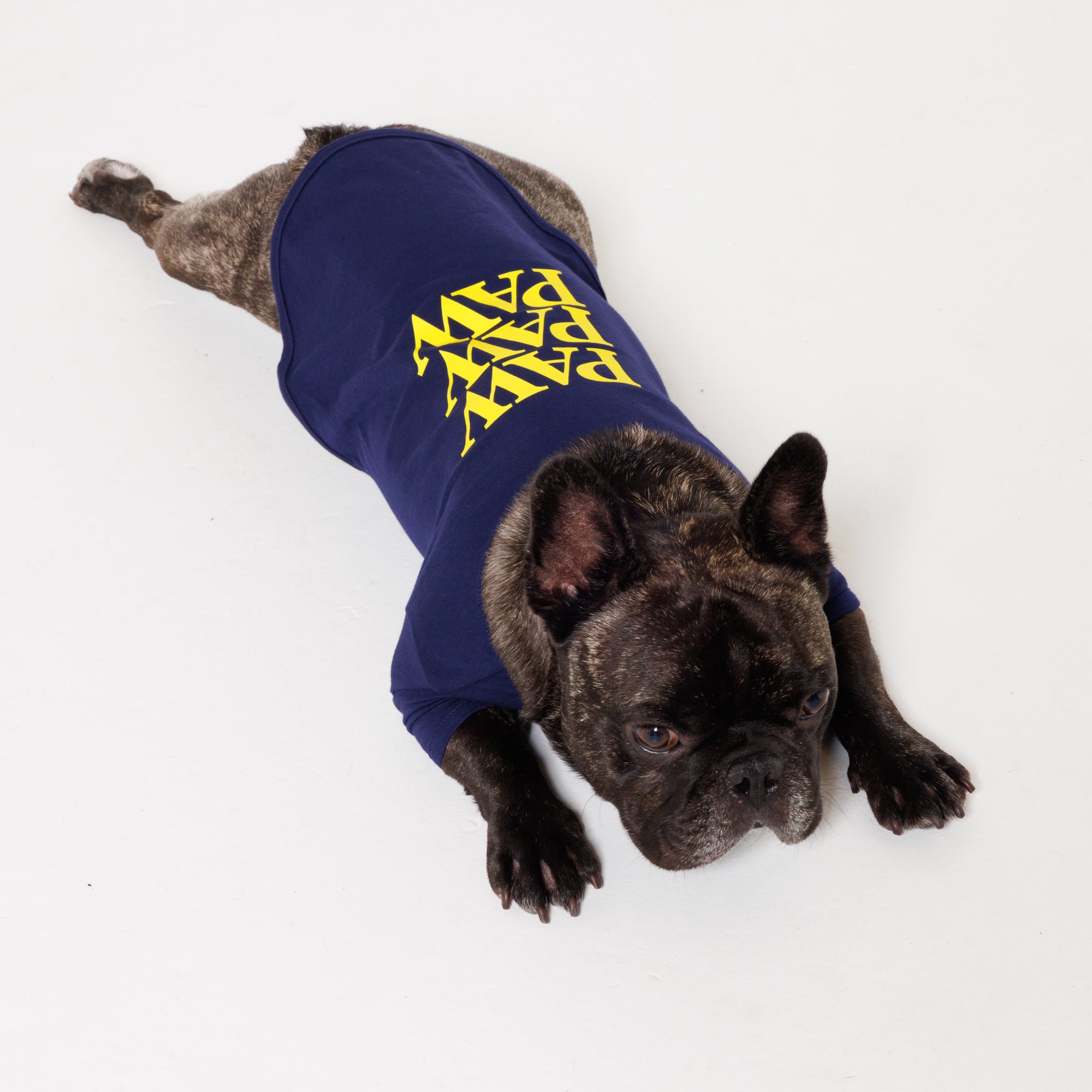 PAW PAW PAW LOGO PRINT PET HALF SLEEVE T