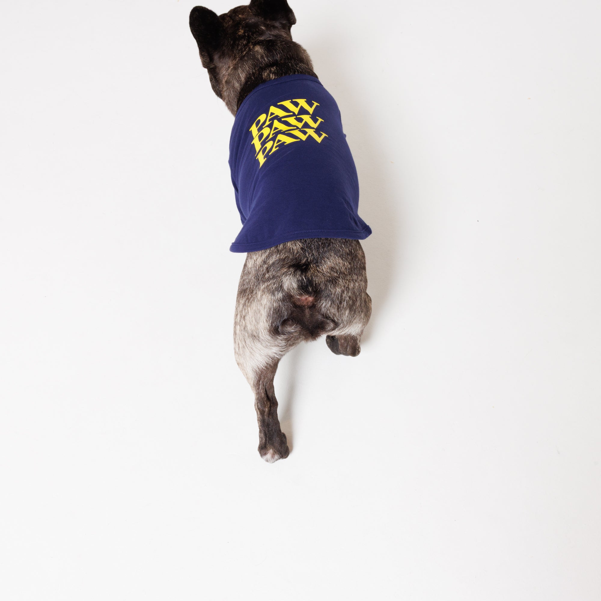 PAW PAW PAW LOGO PRINT PET HALF SLEEVE T