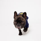 PAW PAW PAW LOGO PRINT PET HALF SLEEVE T