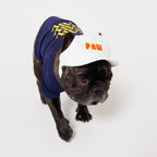 PAW LOGO CAP