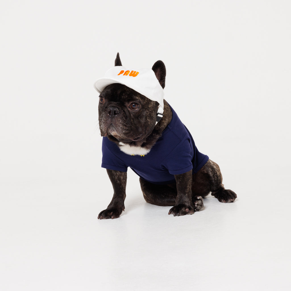 PAW LOGO CAP