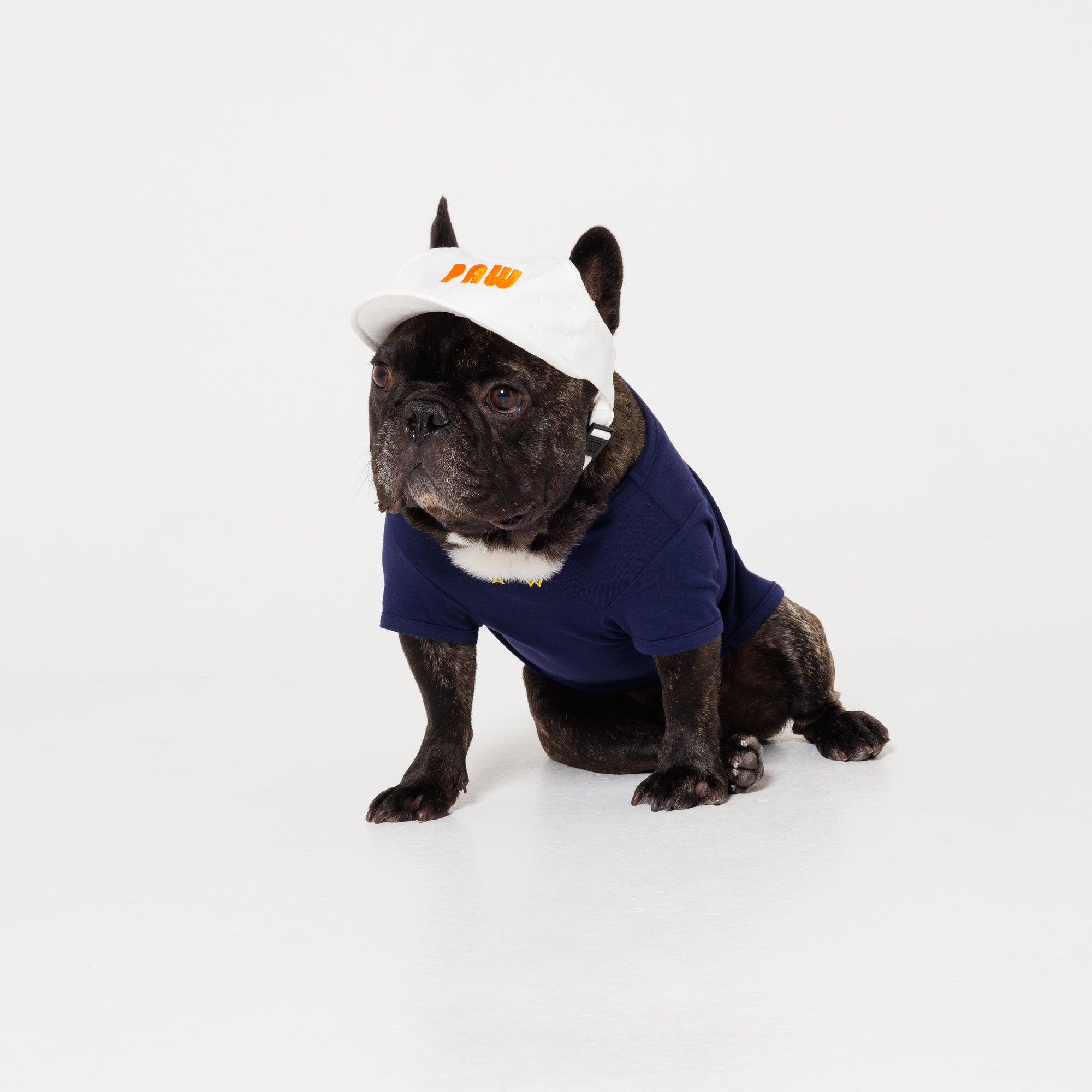 PAW LOGO CAP