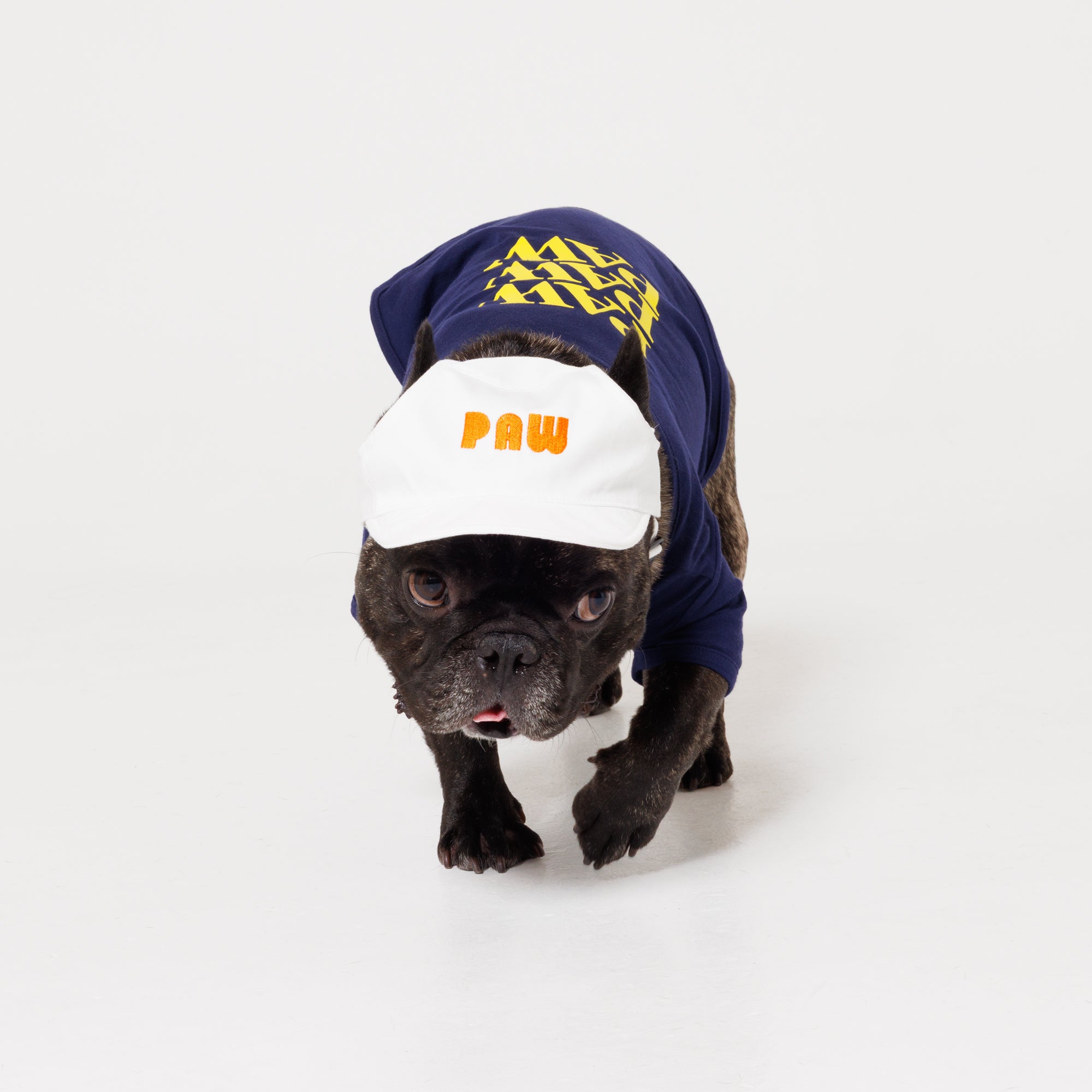 PAW LOGO CAP
