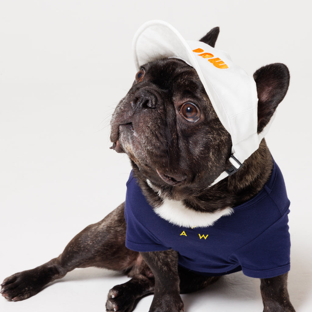 PAW LOGO CAP