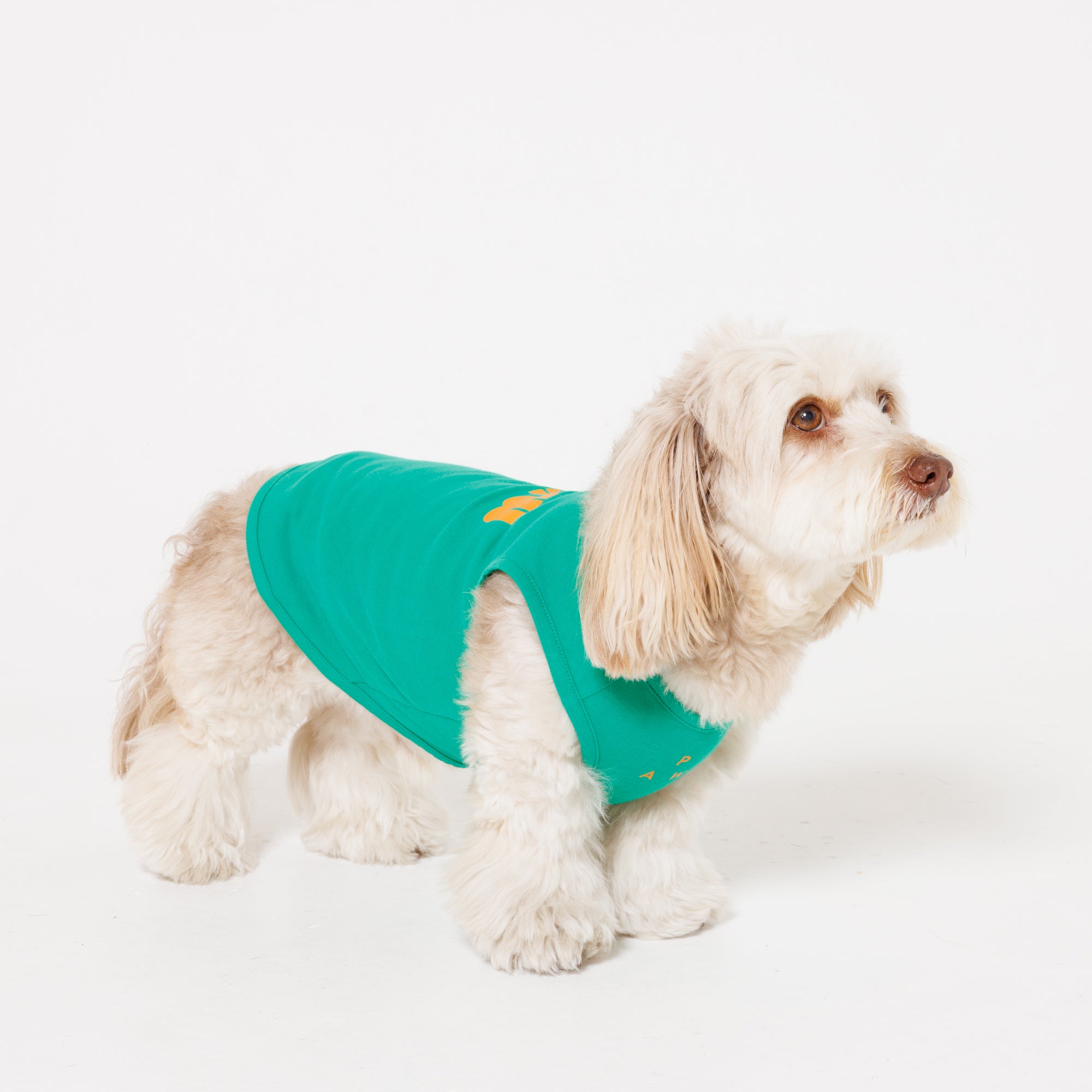 PAW LOGO PRINT PET NO SLEEVE T