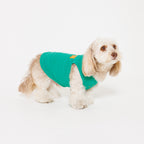 PAW LOGO PRINT PET NO SLEEVE T