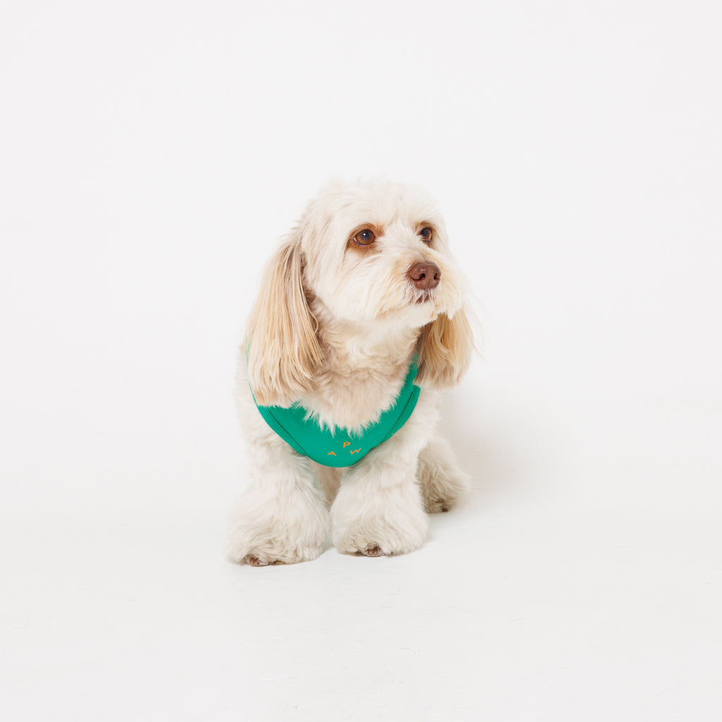 PAW LOGO PRINT PET NO SLEEVE T