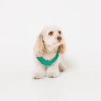 PAW LOGO PRINT PET NO SLEEVE T