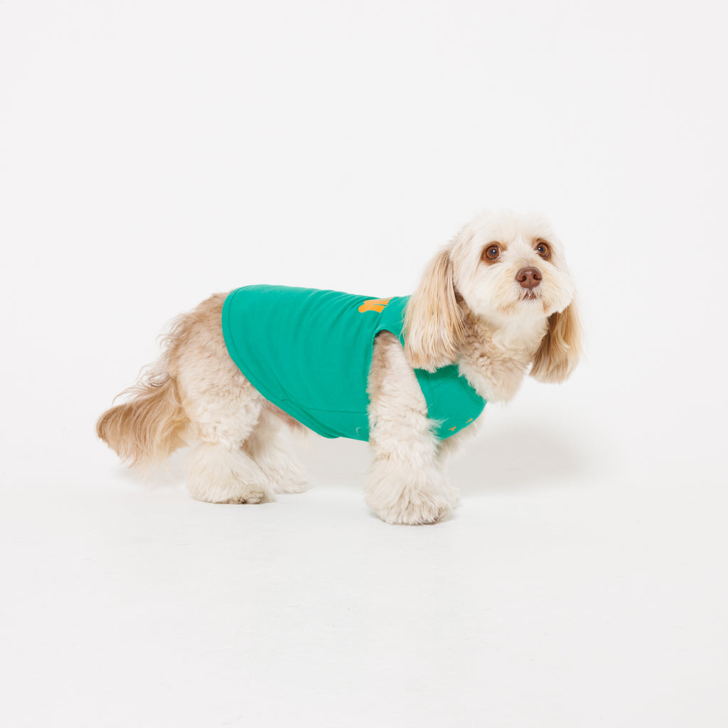 PAW LOGO PRINT PET NO SLEEVE T