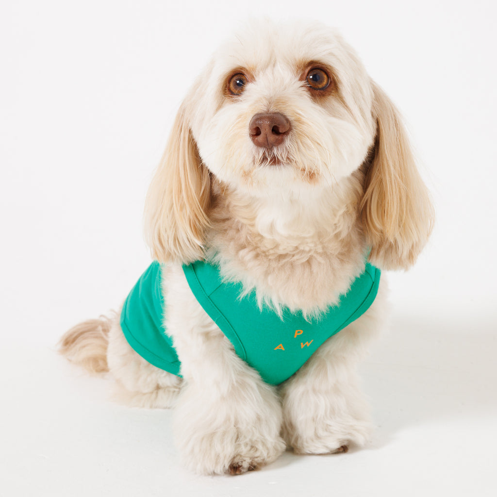 PAW LOGO PRINT PET NO SLEEVE T
