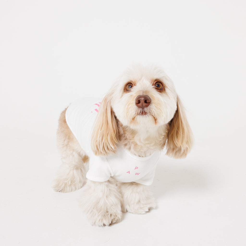 PET APPAREL WEAR LOGO A PRINT PET HALF SLEEVE T