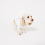 PET APPAREL WEAR LOGO A PRINT PET HALF SLEEVE T