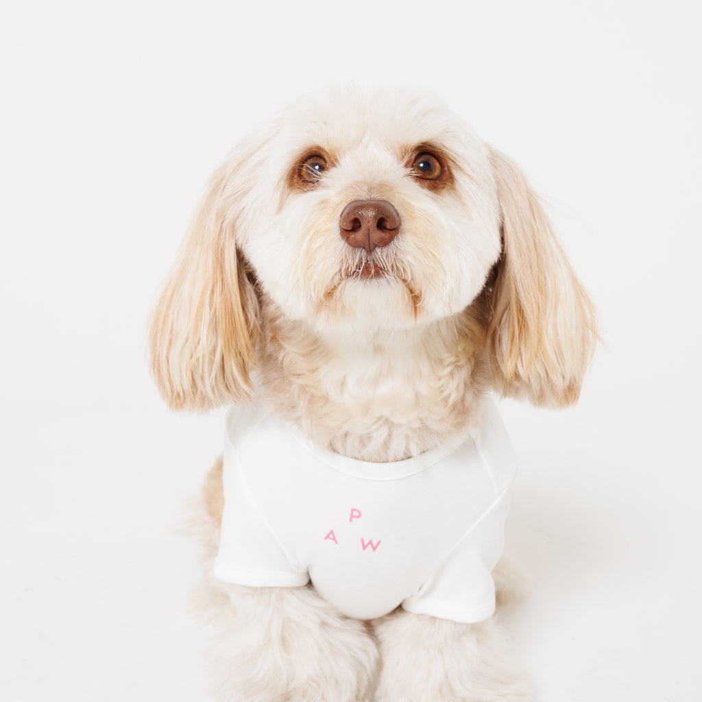 PET APPAREL WEAR LOGO A PRINT PET HALF SLEEVE T