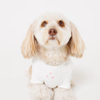 PET APPAREL WEAR LOGO A PRINT PET HALF SLEEVE T