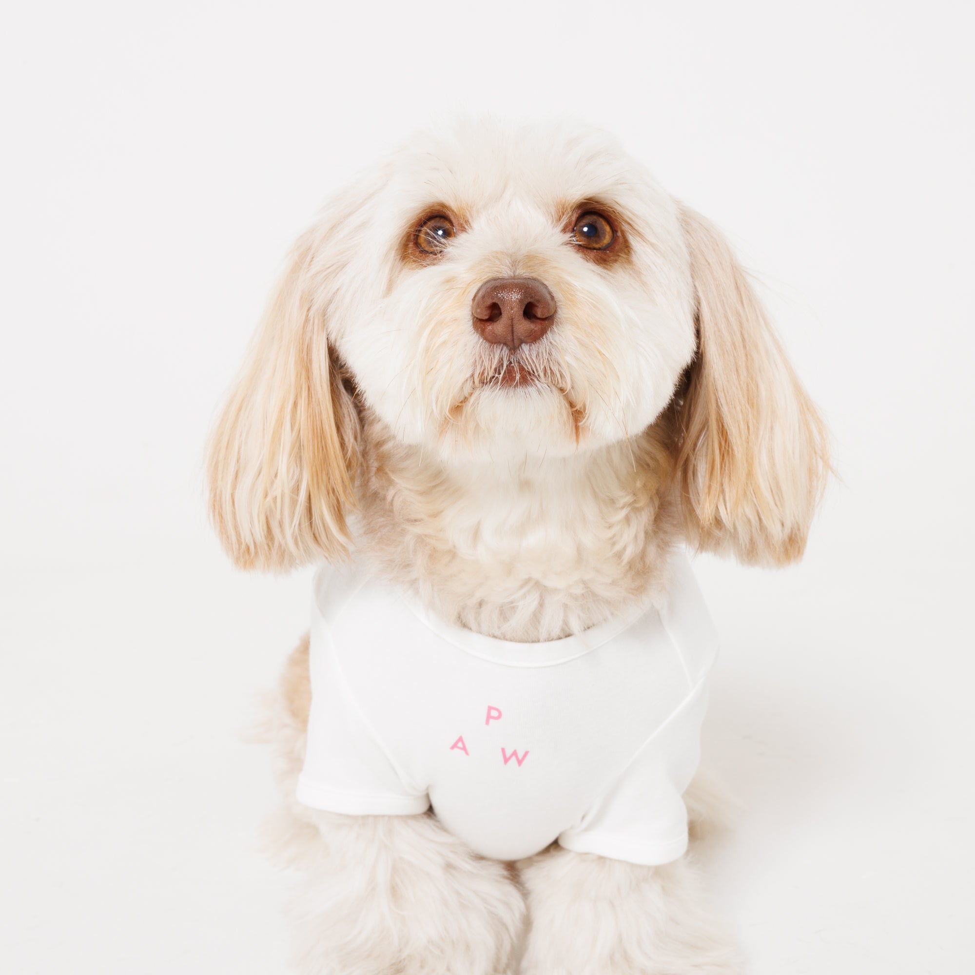 PET APPAREL WEAR LOGO A PRINT PET HALF SLEEVE T