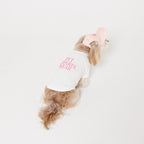 PET APPAREL WEAR LOGO A CAP