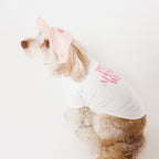 PET APPAREL WEAR LOGO A CAP