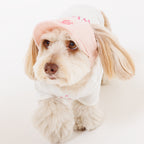 PET APPAREL WEAR LOGO A CAP