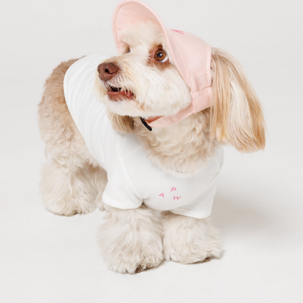 PET APPAREL WEAR LOGO A CAP