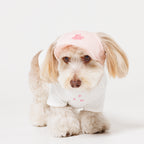 PET APPAREL WEAR LOGO A CAP