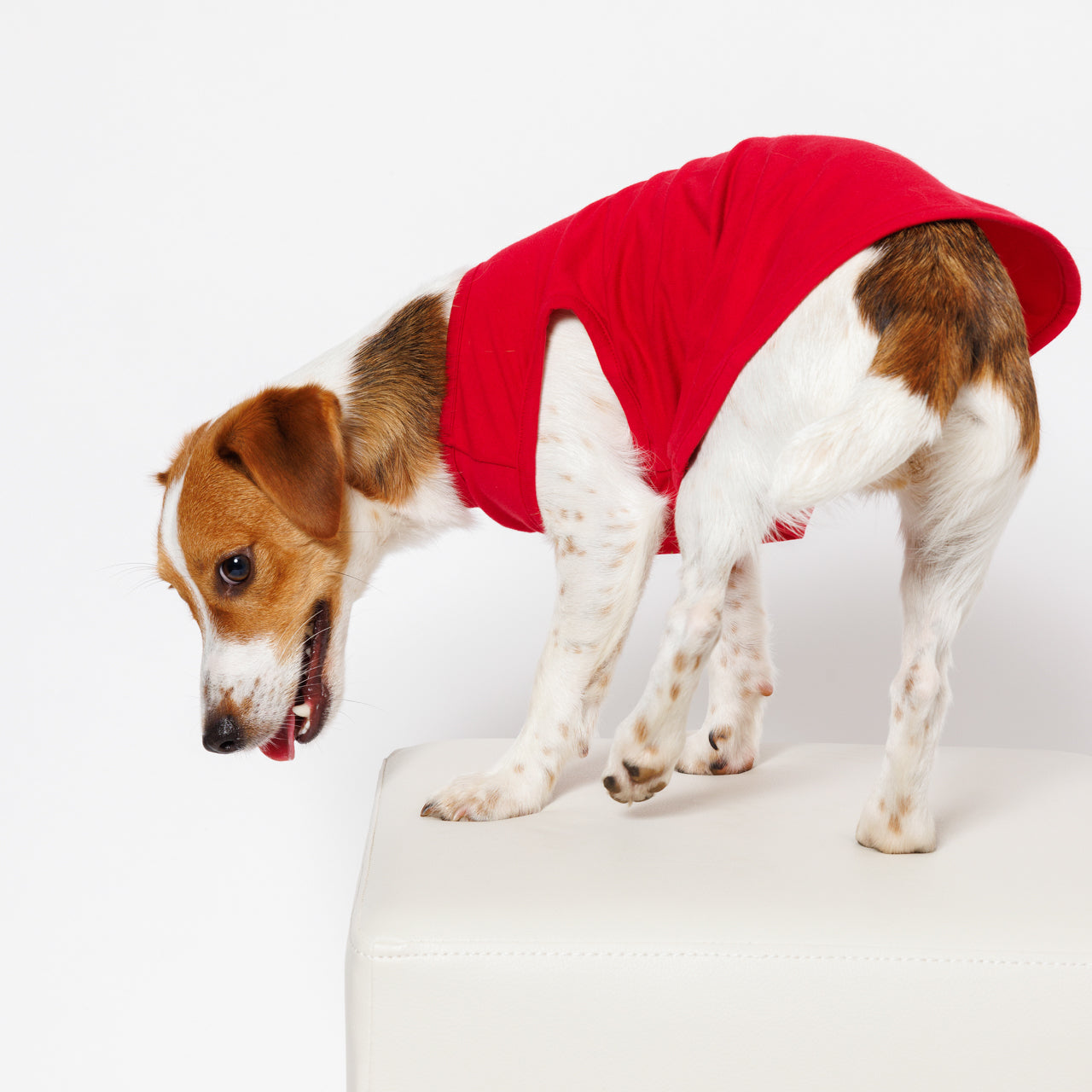 PET NO SLEEVE T RED