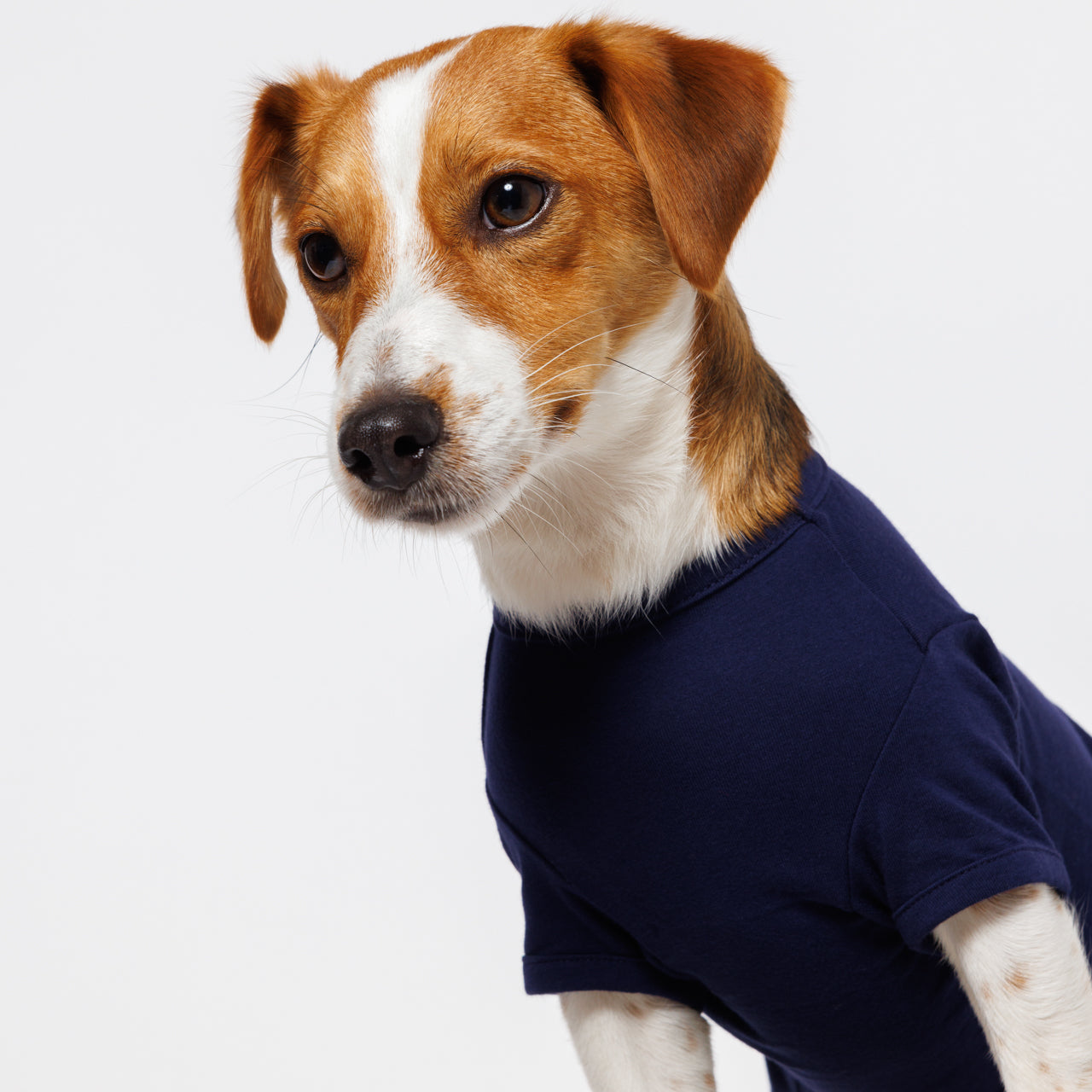 PET HALF SLEEVE T NAVY