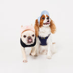 PET APPAREL WEAR LOGO A CAP