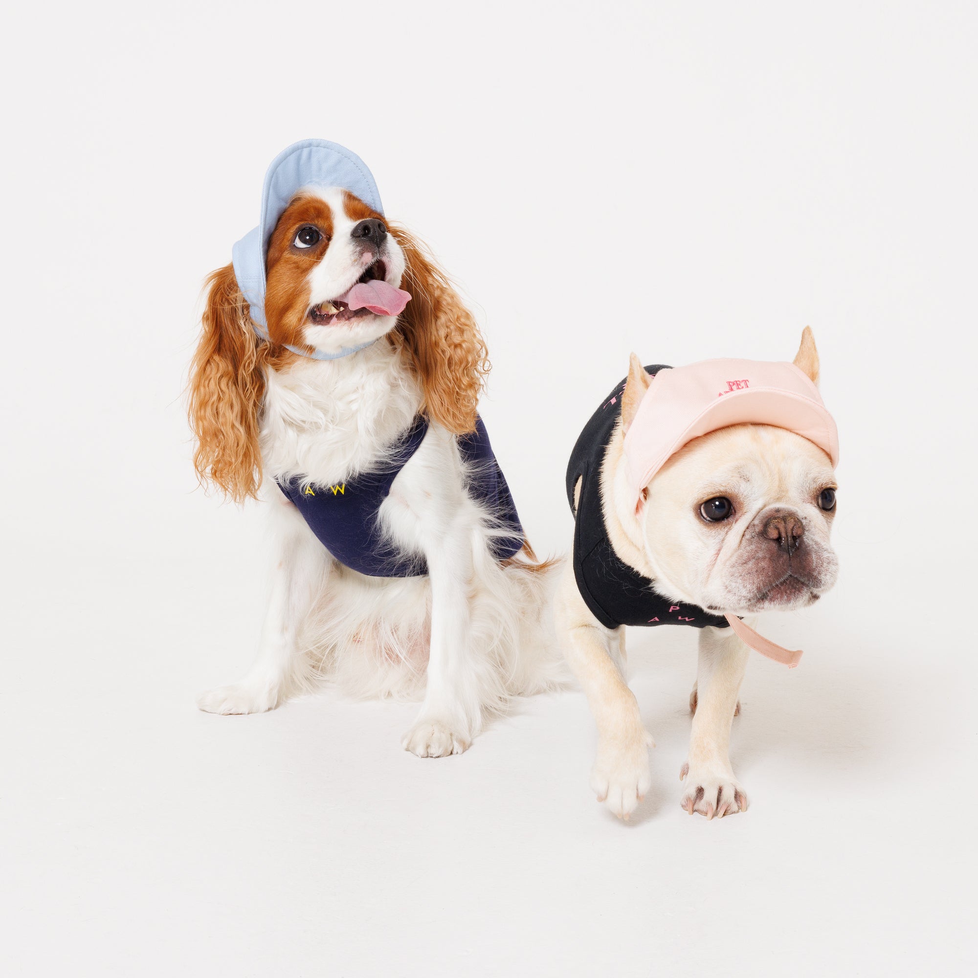 PET APPAREL WEAR LOGO A CAP