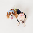 PET APPAREL WEAR LOGO B CAP