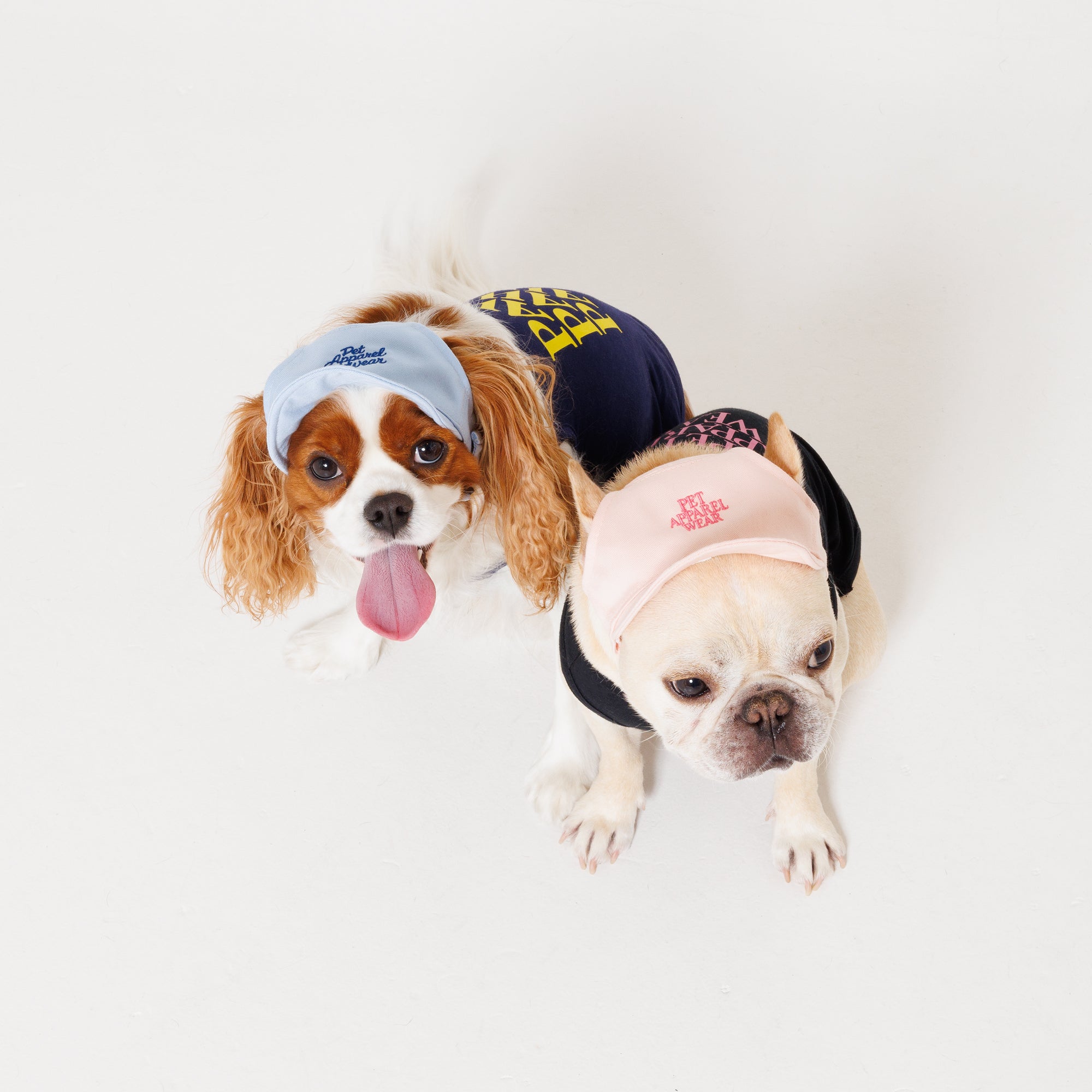 PET APPAREL WEAR LOGO B CAP