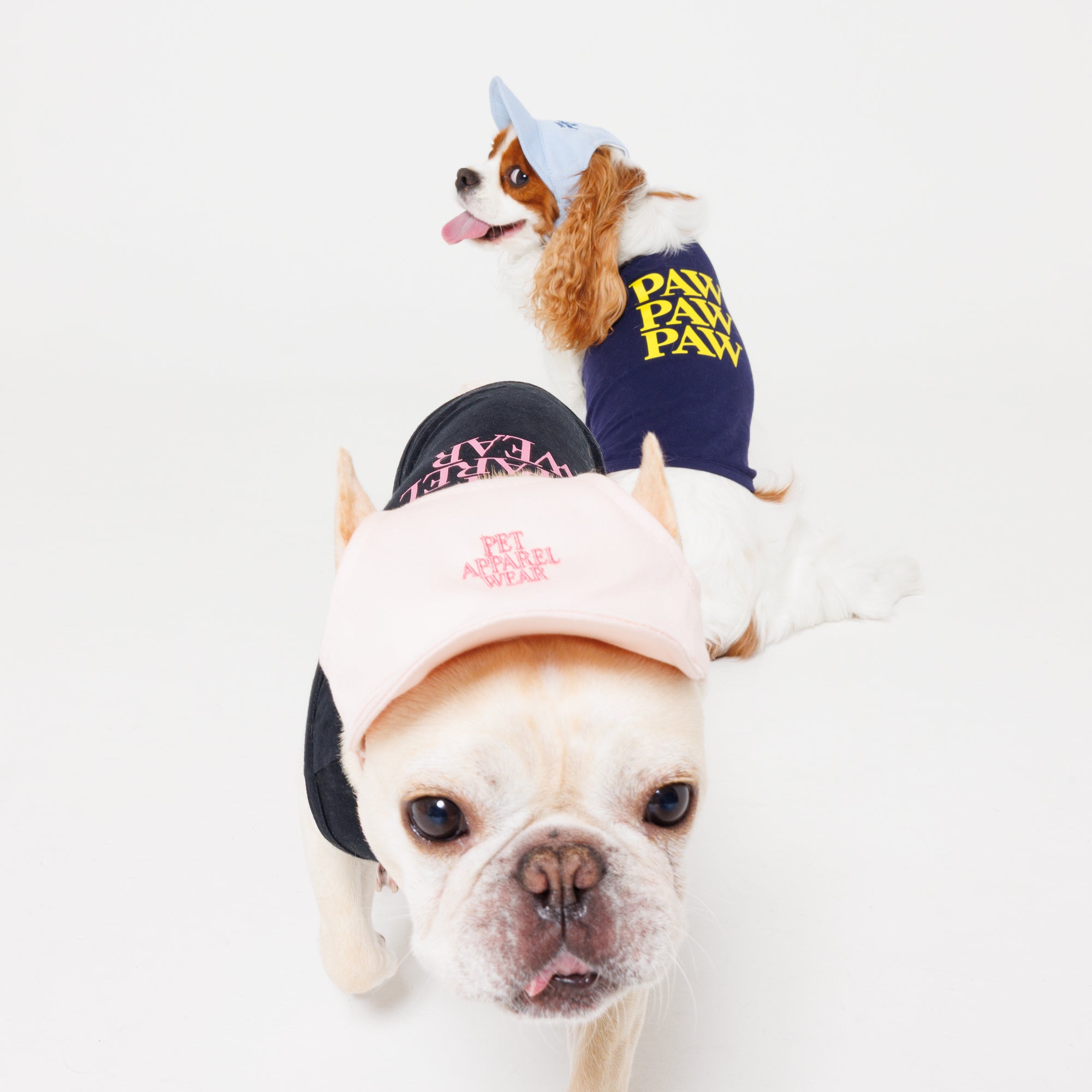 PET APPAREL WEAR LOGO A CAP